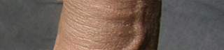 Illustration for article titled All 8 Glorious Inches Of Purebred American Cock...Ranked